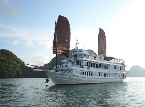 V’Spirit Cruises