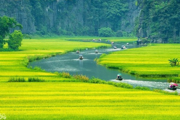 HOA LU – TAM COC