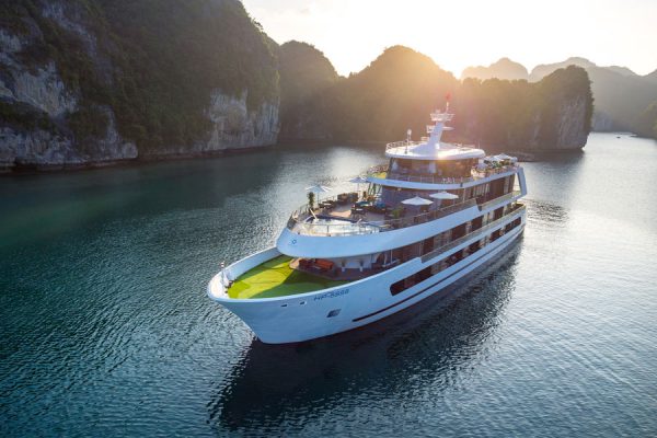 Stellar of the Seas